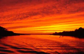 Dinner Cruise with Dolphin Watching from Cape May