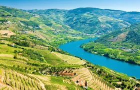 Douro Valley guided tour with wine tasting, lunch and river cruise from Porto