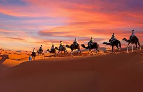 2-Day Tunisia Sahara Desert Camel Trek from Douz