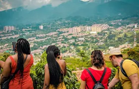 Half-Day Coffee Tour: From the Seed to the Cup, Farm & roastery 