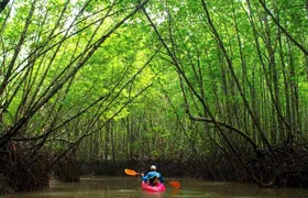 Deep Mangrove and Canyon Kayak Tour in Krabi