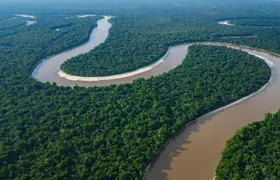 Amazon full-day jungle safari from Iquitos