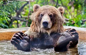 Skip the Line: Kamloops BC Wildlife Park Admission Ticket