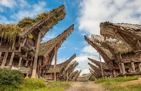 Toraja Highlight 3 Days