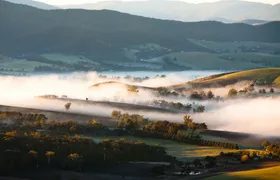 Yarra Valley Bus Wine Tour including lunch with a glass of wine and chocolate