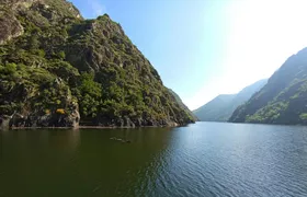 Ribeira Sacra and Ourense guided day trip with river cruise