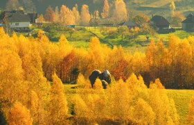 Small-Group Day Trip in Romanian Authentic Mountain Villages from Brasov