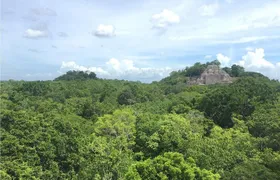 Adventure in Calakmul departing from Campeche