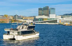 Guided Sightseeing Cruise on Oslofjord by Premium Silent Boat