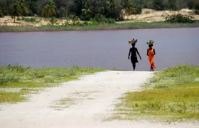 Retba Lake and Tortoise Reserve full-day tour from Saly or Somone