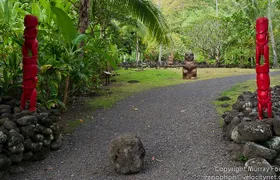 5 Hours Tahiti Island Tour - West and East Coast