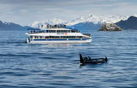 Kenai Fjords National Park Glacier & Wildlife Cruise
