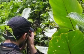 5 Day-4 Nights Extreme Private Amazon Experience