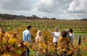 Hidden Gems: Full-Day Wine, Scones, Lunch and Local Produce Tour