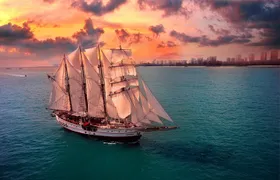 Royal Albatross - Sunset Sail Cruise with 5-Course Seated Dinner