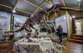 El Calafate Panoramic Tour with Punta Walichu