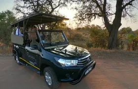 Kruger National Park Afternoon Sunset Safari Tour