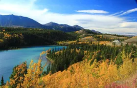 Skagway Shore Excursion: Yukon Discovery Tour