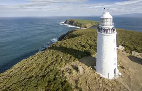 Bruny Island safaris, local food tasting and lighthouse tour