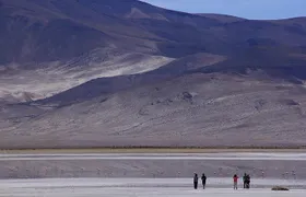 Iquique, Salar del Huasco National Park - Full day