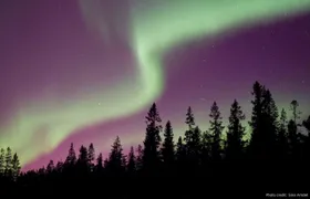 Northern Lights nature tour by car