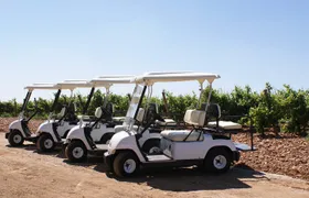 Wine tourism: Wine tasting