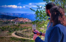 Private Wine and Oil Tour in the Priorat Wine Region