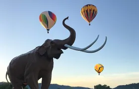 Western Horizons Hot Air Balloon rides