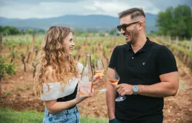 Wine Tasting Grabovac Tour From Makarska