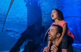 SEA LIFE Aquarium Minnesota Admission Ticket at Mall of America