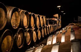 Small-Group Full-Day Tour of Côte de Nuits, Côte de Beaune Vineyards and Beaune Historical District