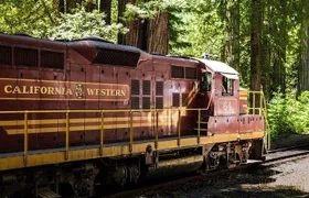 Skunk Train: Wolf Tree Turn from Willits
