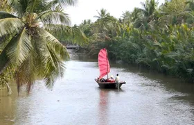 Mekong relaxing boat cruise through quiet canal (1.5HRS)