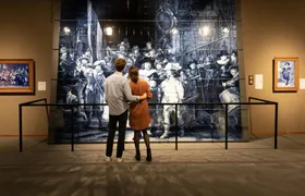 Private Delft walking tour with Royal Delft factory visit