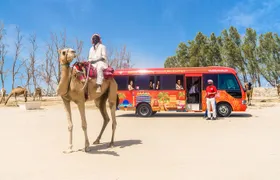 Full-Day Bahrain Guided Tour