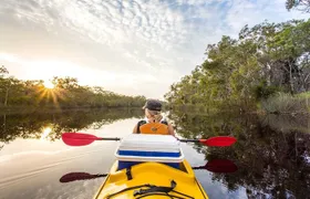 Full-Day Guided Noosa Everglades Kayak Tour