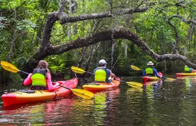 Amelia Island Guided Kayak Tour of Lofton Creek