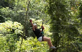 Treetop Adventure Park Canopy Tour