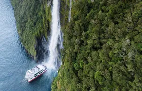 Milford Sound Premium Coach & Cruise from Queenstown with Lunch
