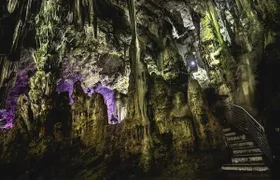 Gibraltar Pass 1-day ticket