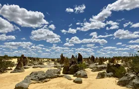 Pinnacles Full-day Guided Tour