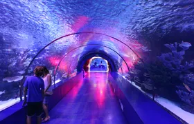 Antalya Aquarium and Old Town tour with Gold Centre visit