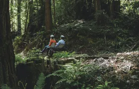 Pudding Creek railbike tickets in Fort Bragg, CA