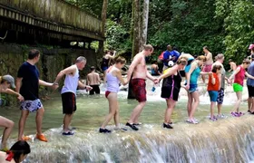 Dunn's River Falls and Luminous Lagoon Guided Tour from Grand Palladium