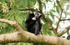 Day ticket for Paignton Zoo on the English Riviera