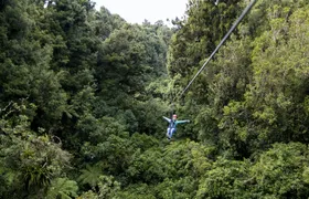 The original canopy experience