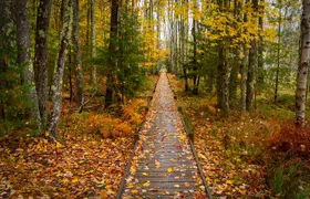 East Coast USA: Self-Guided Driving & Walking Tour Bundle