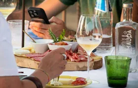 Vineyard Guided Tour and 7 Wine Tasting in Palau