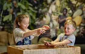 Maison Cailler Visit and Walk A Pioneer in the Meadows