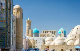 Bukhara One Day Tour - Departure From Tashkent